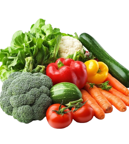 408645018 e4f72981 ae5c 4248 b859 1bce1dd3e773 removebg preview